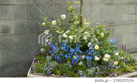 International Flower Exhibition International Flower Exhibition 139205524