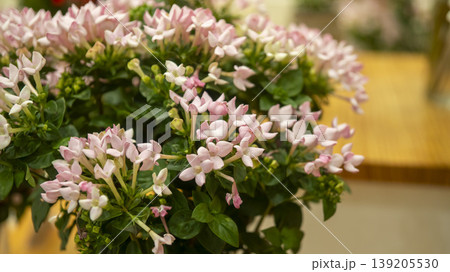 International Flower Exhibition International Flower Exhibition 139205530