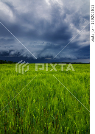 Storm clouds of thunderstorm over a field in Lithuania Storm clouds of thunderstorm over a field in Lithuania 139205615