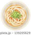 リアルな「かけうどん」の俯瞰イラスト 139205629