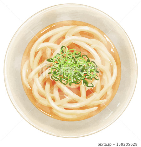 リアルな「かけうどん」の俯瞰イラスト 139205629
