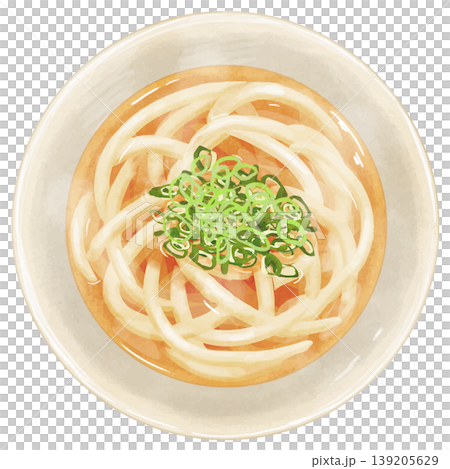 リアルな「かけうどん」の俯瞰イラスト 139205629