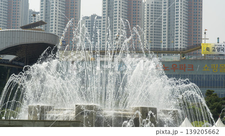 International Flower Exhibition International Flower Exhibition 139205662