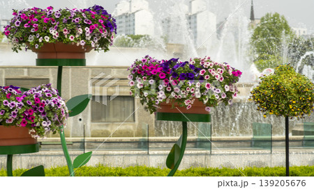 International Flower Exhibition International Flower Exhibition 139205676
