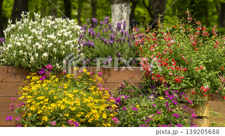 International Flower Exhibition International Flower Exhibition 139205688
