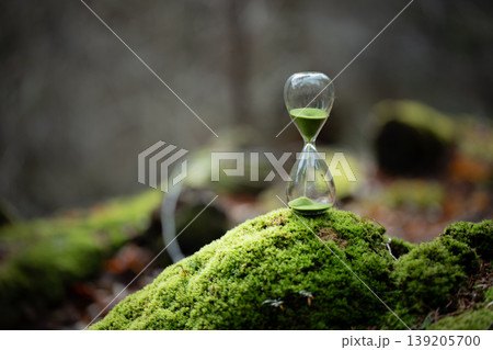 苔の森と砂時計 139205700