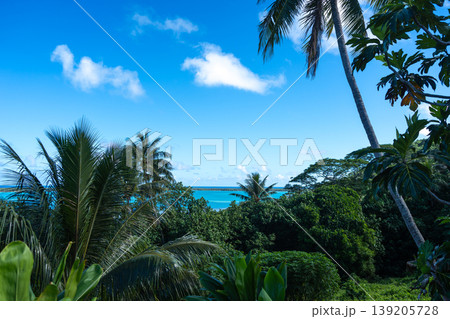 Coastal View and Ocean on Maupiti Island, French Polynesia Coastal View and Ocean on Maupiti Island, French Polynesia 139205728