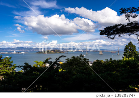 Panoramic view of San Francisco Bay and lush greenery, USA Panoramic view of San Francisco Bay and lush greenery, USA 139205747