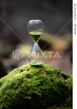 苔の森と砂時計 苔の森と砂時計 139205879
