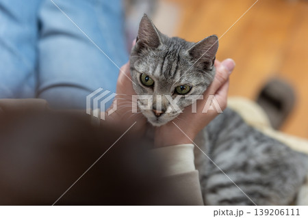 猫を撫でる飼い主 サバトラ猫 猫を撫でる飼い主 サバトラ猫 139206111
