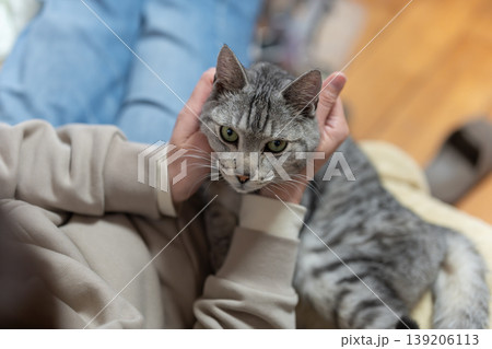 猫を撫でる飼い主 サバトラ猫 猫を撫でる飼い主 サバトラ猫 139206113