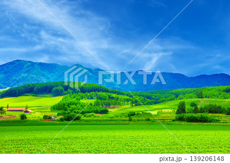 秋の越後田園風景 秋の越後田園風景 139206148