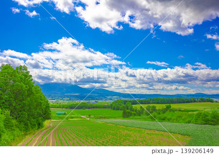 広大な田園風景 広大な田園風景 139206149