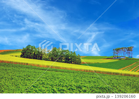 田園風景 田園風景 139206160