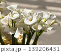 White calla lily bouquets in crates under sunlight at a flower stall with soft shadows. Cut flower trade, botanical elegance, wedding floristry, retail display and seasonal spring commerce. 139206431