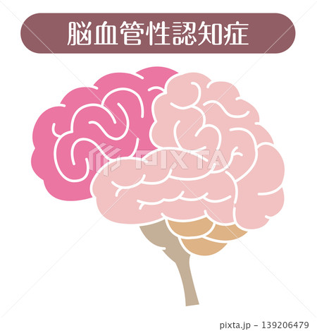 脳血管性認知症 脳イラスト 線なし 脳血管性認知症 脳イラスト 線なし 139206479