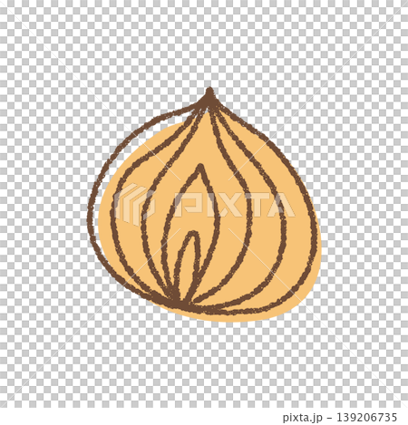 手描きのシンプルなたまねぎのイラスト 手描きのシンプルなたまねぎのイラスト 139206735
