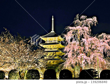 京都・東寺の五重塔としだれ桜 京都・東寺の五重塔としだれ桜 139206840