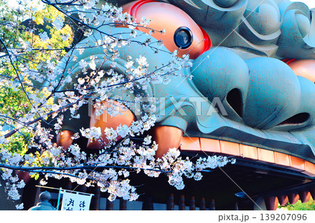 大阪・難波八阪神社の巨大な獅子と桜 大阪・難波八阪神社の巨大な獅子と桜 139207096