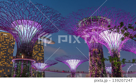 Futuristic aerial view of amazing illumination at Garden by the Bay day to night timelapse in Singapore. Futuristic aerial view of amazing illumination at Garden by the Bay day to night timelapse in Singapore. 139207247