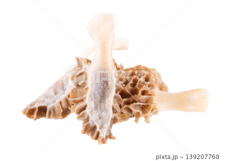 Morel mushroom isolated on white background. Morchella esculenta. Spring edible fungi. Clipping path. Morel mushroom isolated on white background. Morchella esculenta. Spring edible fungi. Clipping path. 139207768