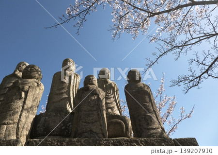 桜と青空を背景に並ぶ石仏の春の風景 桜と青空を背景に並ぶ石仏の春の風景 139207910