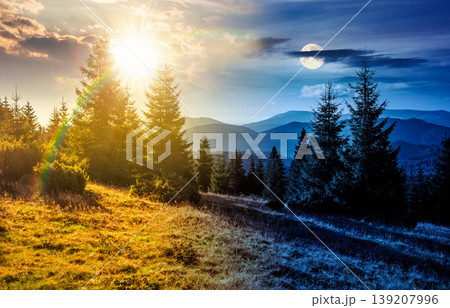 day meet night. hillside with coniferous forest on a meadow in mountain landscape on autumn equinox. sun and moon over wonderful view surrounded by spruce trees on the slope. transylvania wonderland day meet night. hillside with coniferous forest on a meadow in mountain landscape on autumn equinox. sun and moon over wonderful view surrounded by spruce trees on the slope. transylvania wonderland 139207996