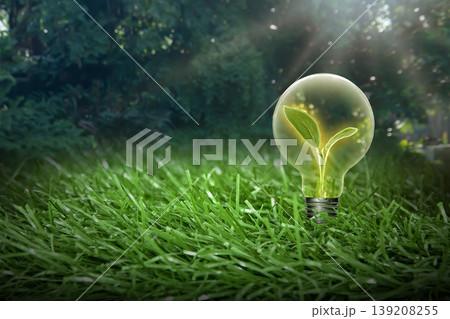 Small green plant growing inside a light bulb on a lush grass field, symbolizing sustainable energy, environmental conservation, and green innovation 139208255