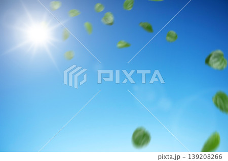 Beautiful spring or summer day with green leaves dancing in the breeze against a bright blue sky and shining sun. Perfect for eco-friendly and nature themes Beautiful spring or summer day with green leaves dancing in the breeze against a bright blue sky and shining sun. Perfect for eco-friendly and nature themes 139208266