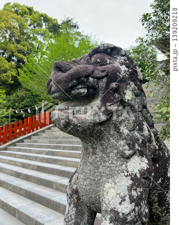 神社の狛犬の石像、阿吽の狛犬の像、石でできた狛犬の彫刻 神社の狛犬の石像、阿吽の狛犬の像、石でできた狛犬の彫刻 139209218