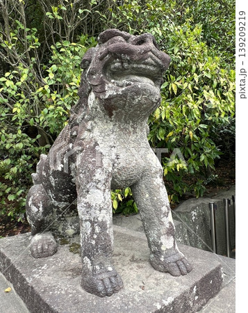 神社の狛犬の石像、阿吽の狛犬の像、石でできた狛犬の彫刻 神社の狛犬の石像、阿吽の狛犬の像、石でできた狛犬の彫刻 139209219