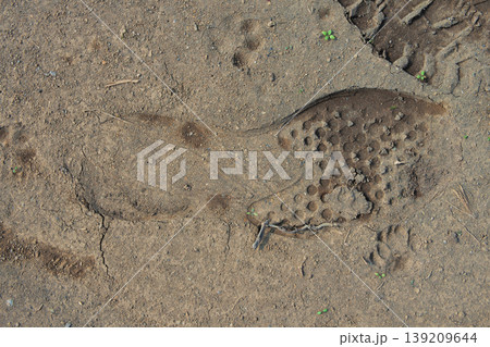 湿った土に残された一つの靴の足跡。自然な質感を強調したクローズアップ写真 湿った土に残された一つの靴の足跡。自然な質感を強調したクローズアップ写真 139209644