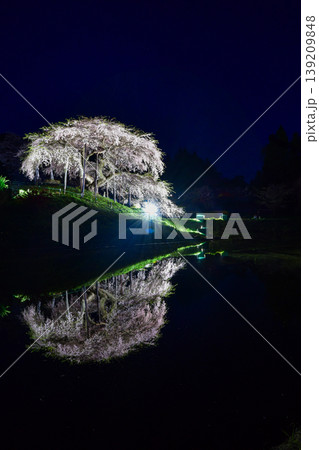 中島の地蔵桜 中島の地蔵桜 139209848