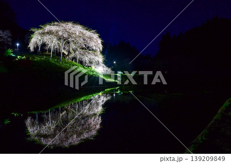 中島の地蔵桜 中島の地蔵桜 139209849