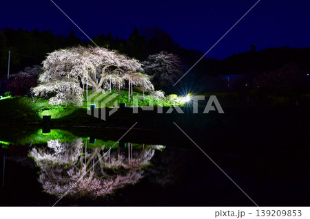 中島の地蔵桜 中島の地蔵桜 139209853
