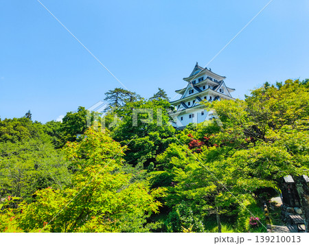 郡上八幡城 139210013