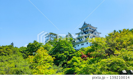 郡上八幡城 139210014