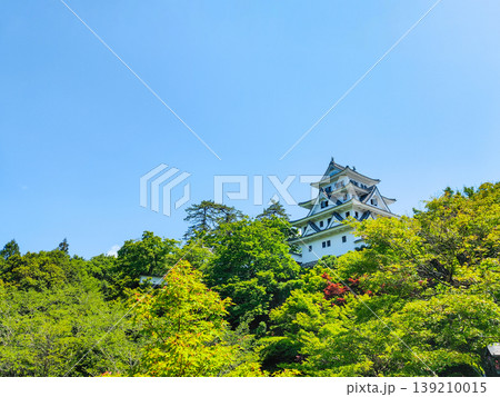 郡上八幡城 139210015