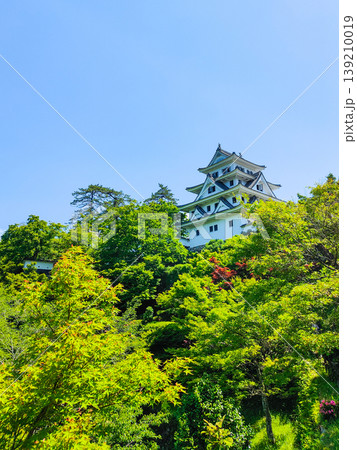郡上八幡城 139210019