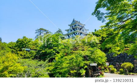 郡上八幡城 139210031