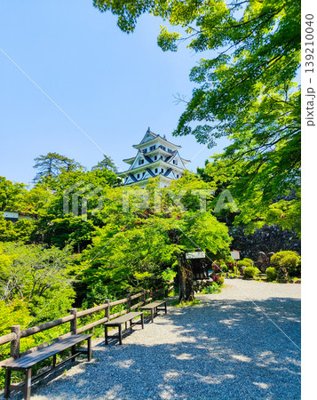 郡上八幡城 郡上八幡城 139210040