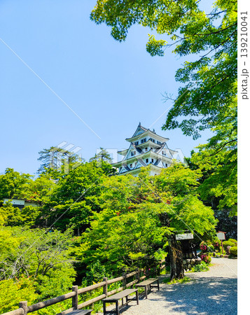 郡上八幡城 郡上八幡城 139210041