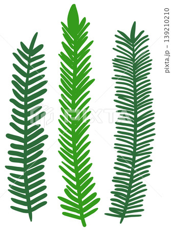 It is an illustration of a leaf drawn with a green line. It is an illustration of a leaf drawn with a green line. 139210210