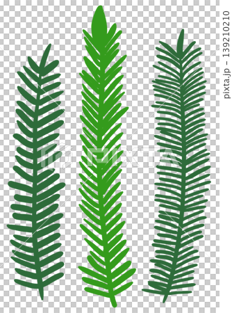 It is an illustration of a leaf drawn with a green line. It is an illustration of a leaf drawn with a green line. 139210210