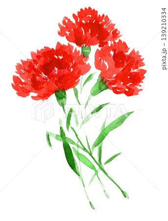 水彩で描いたカーネーション26427pix7 139210334