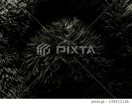 abstract black and white macro closeup of spiky furry cluster radiating dark fibers in moody atmospheric setting with copy space for wallpaper banner 139211116