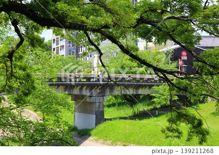 岡崎公園　竹千代橋と新緑 139211268