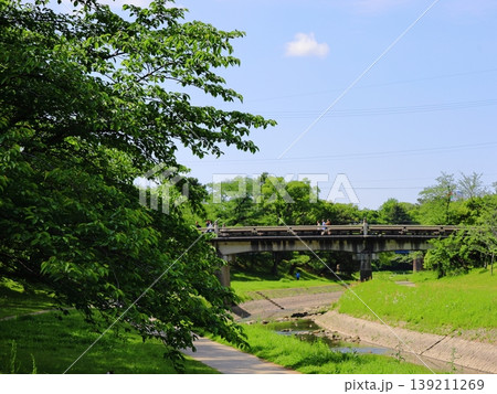 岡崎公園　竹千代橋と新緑 139211269
