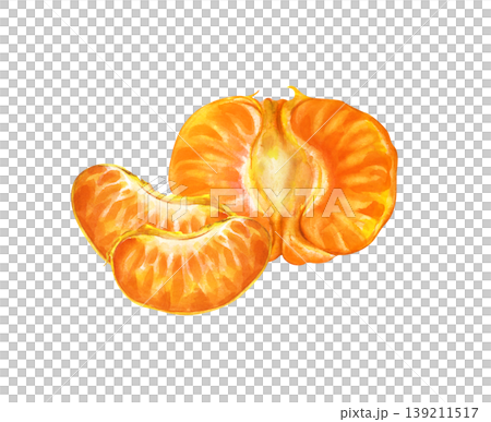 Watercolor illustration of a peeled tangerine or mandarin orange on an isolated background. One large half-section of the fruit alongside two separate, juicy segments. Realistic clipart is perfect for Watercolor illustration of a peeled tangerine or mandarin orange on an isolated background. One large half-section of the fruit alongside two separate, juicy segments. Realistic clipart is perfect for 139211517