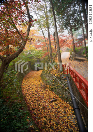 地元で愛される紅葉の名所京都府亀岡市神蔵寺を撮影 139211681